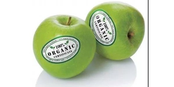 驚豔！這款水果標簽（qiān）材料讓你愛不釋手（shǒu）！